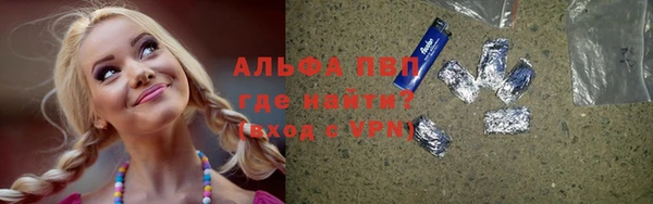 гидра Алексин