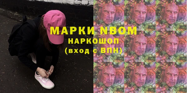 гидра Алексин