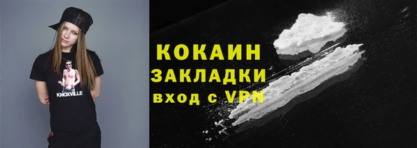 гидра Алексин