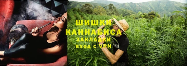 ГАЛЛЮЦИНОГЕННЫЕ ГРИБЫ Алзамай