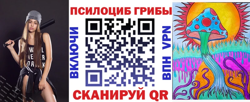 Купить где  Красково  Псилоцибиновые грибы Psilocybine cubensis 